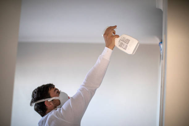 Best Mold Removal Near Me  in Mion, AR