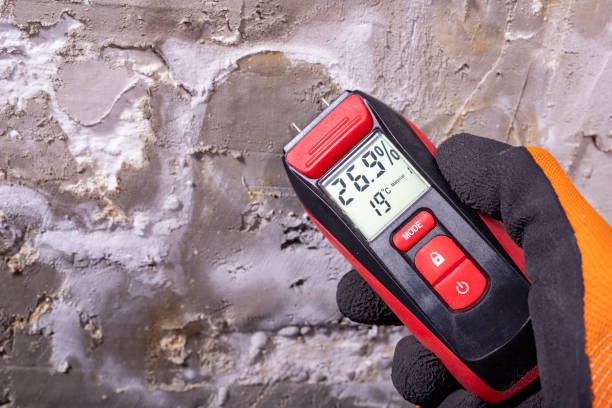 Best Mold Testing  in Mion, AR