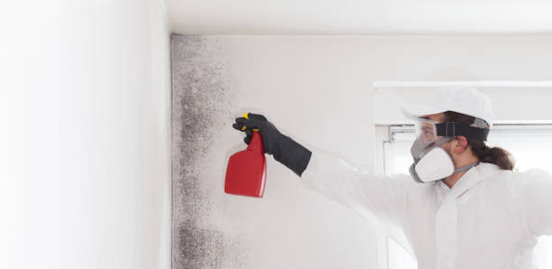 Crawl Space Mold Removal in Marion, AR